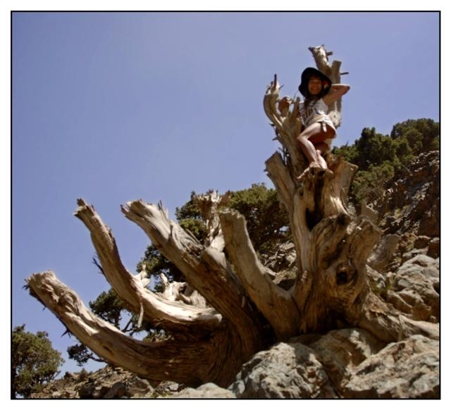 toubkal 175 (Small).jpg